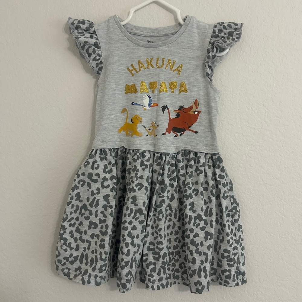 Little Girls Lion King Hakuna Matata Character Gray Dress Size 4T